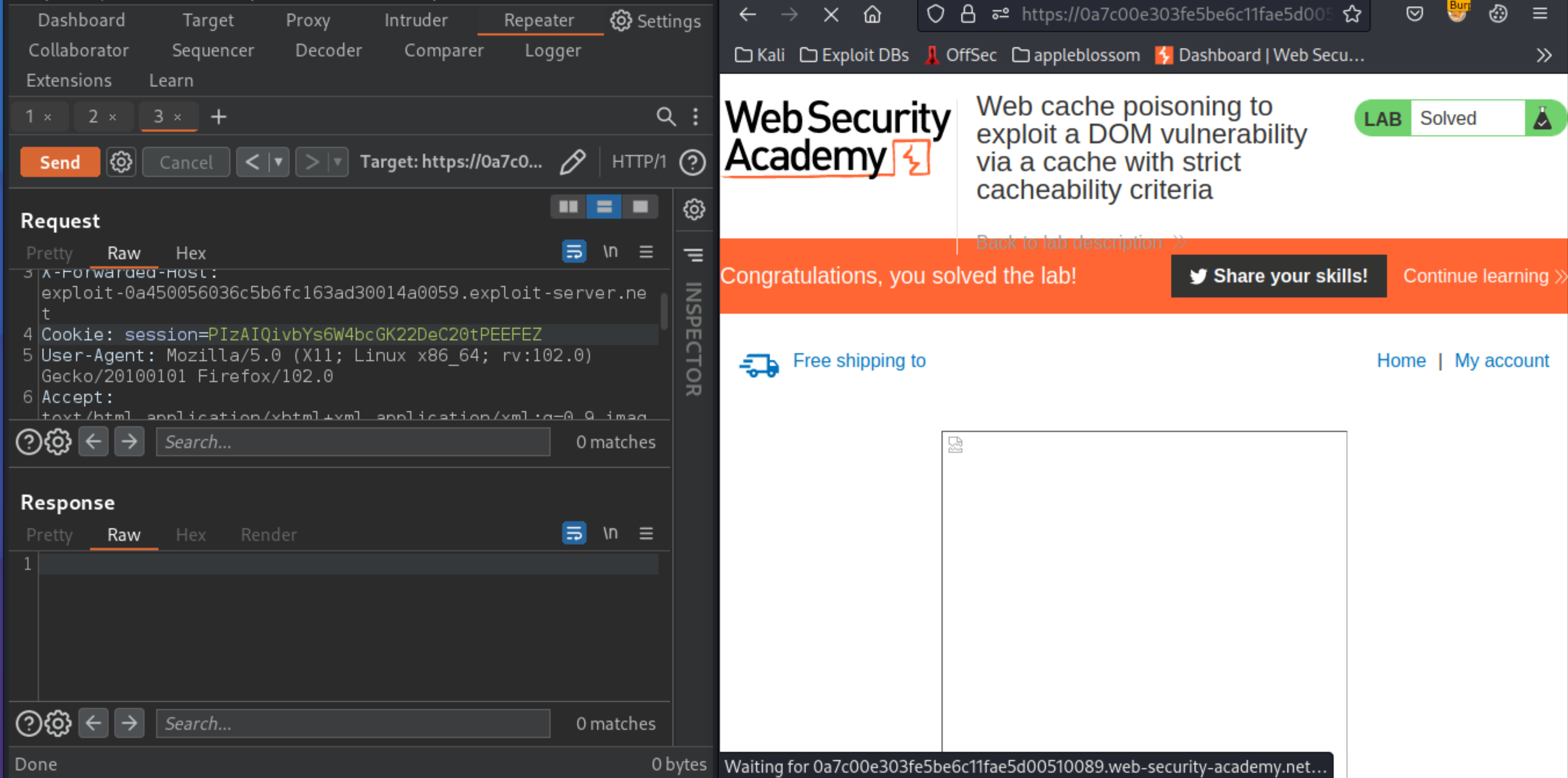 Web cache poisoning