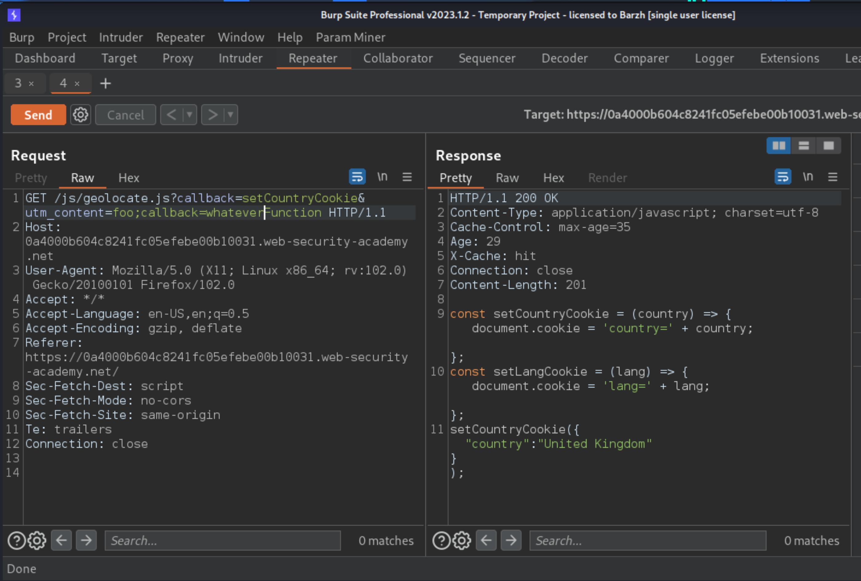 Web cache poisoning