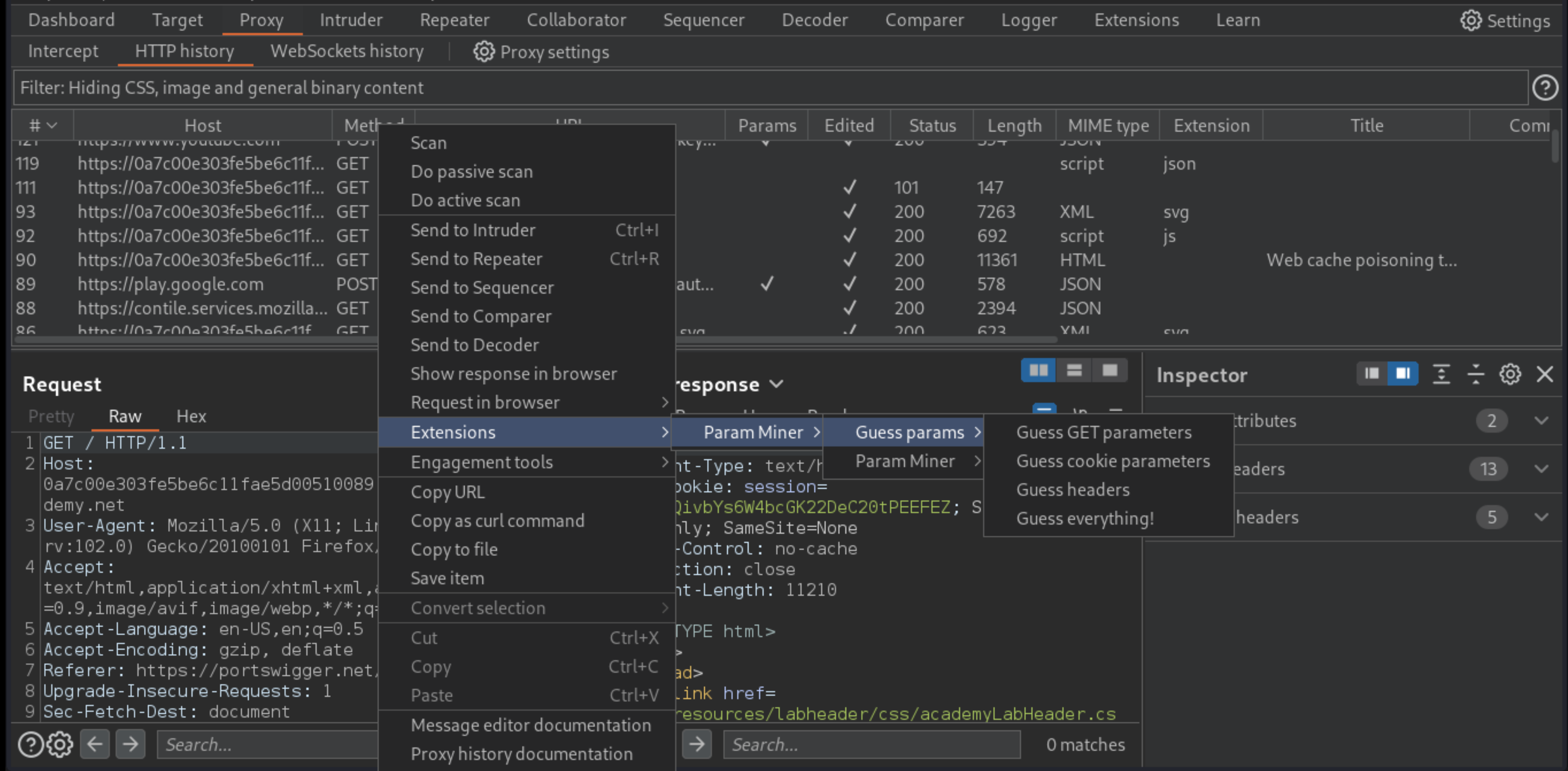 Web cache poisoning