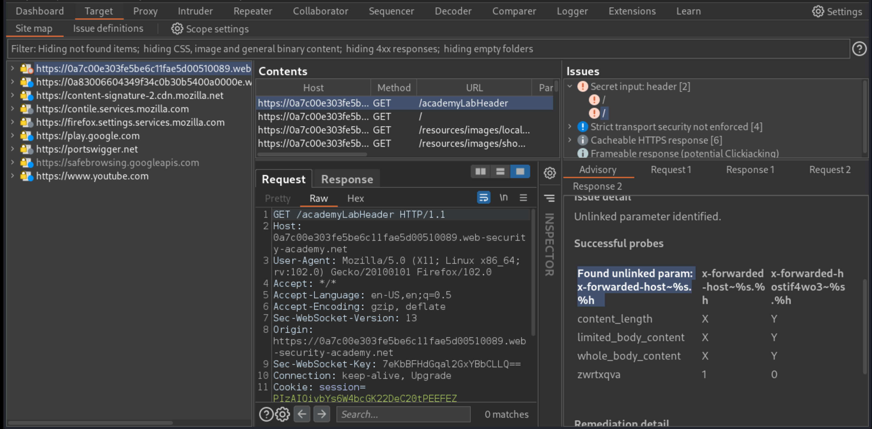 Web cache poisoning