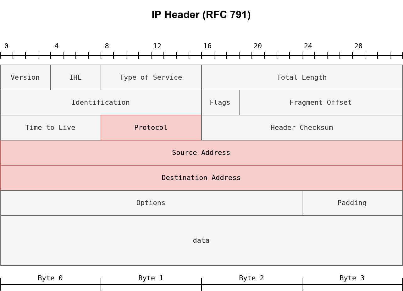 IP header